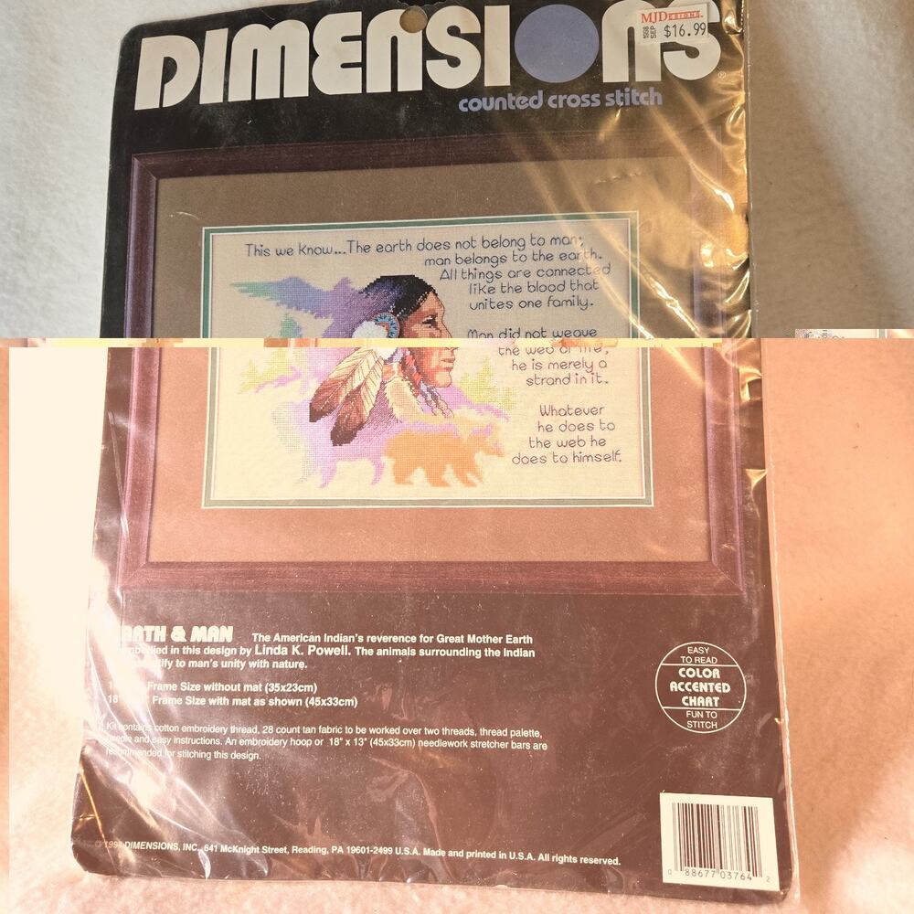 Dimensions Counted Cross Stitch Kit Earth & Man #3764